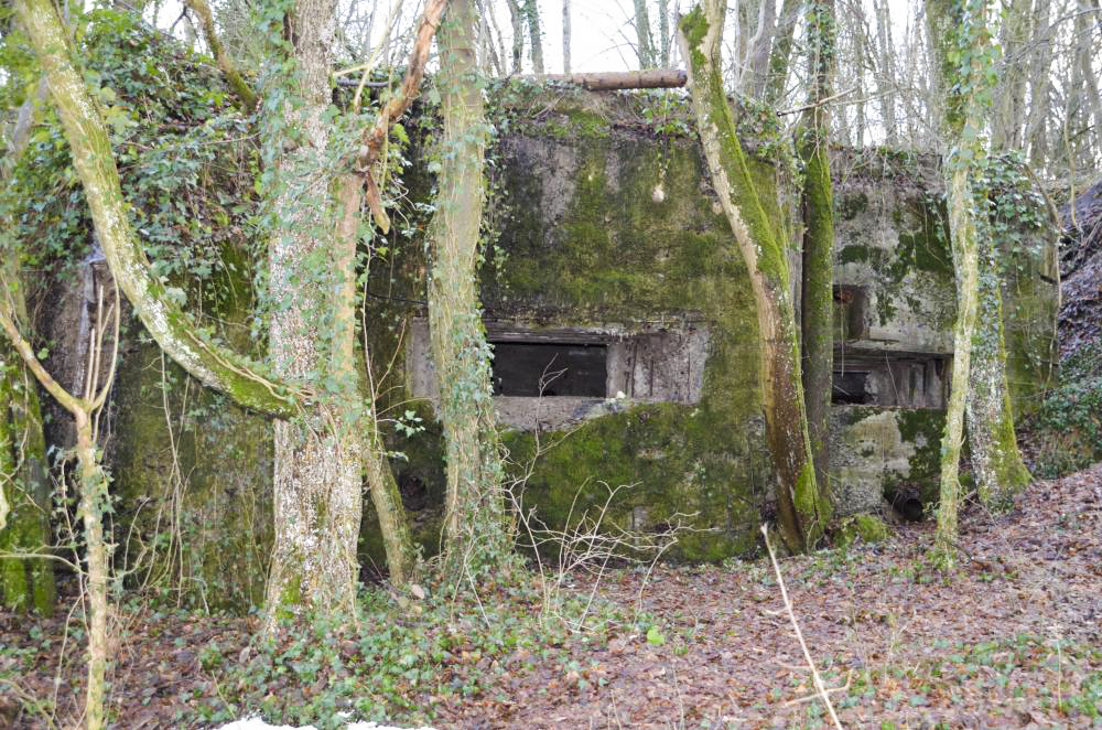 Ligne Maginot - HUTTINGUE EST - (Blockhaus pour canon) - Façade Nord, avec gauche le créneau du canon et à droite le créneau mitrailleuse.