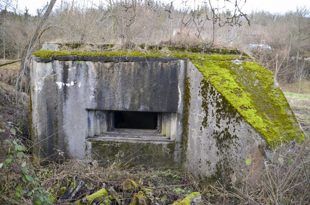 Ligne Maginot - OLTINGUE SUD 3 - (Blockhaus pour canon) - Créneau de tir canon