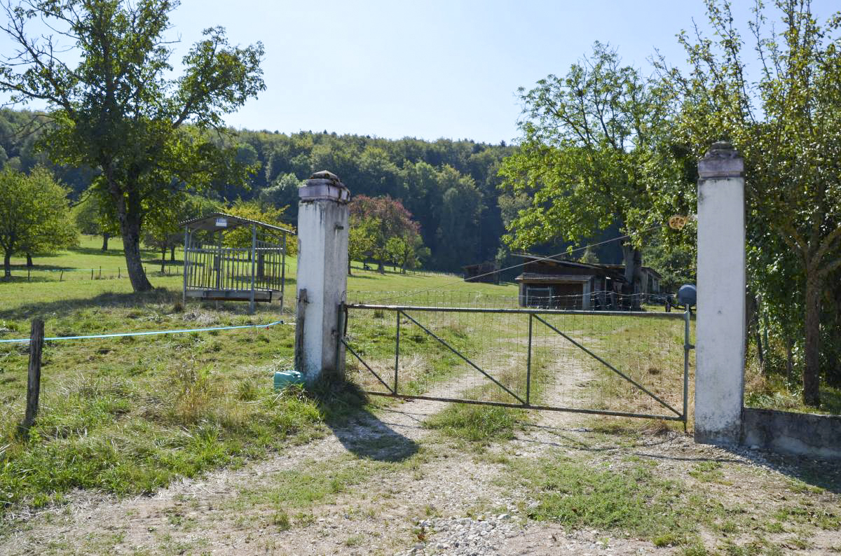 Ligne Maginot - OLTINGUE DéPôT - (Dépôt de Munitions) - Portails du dépôt. Seul vestige restant