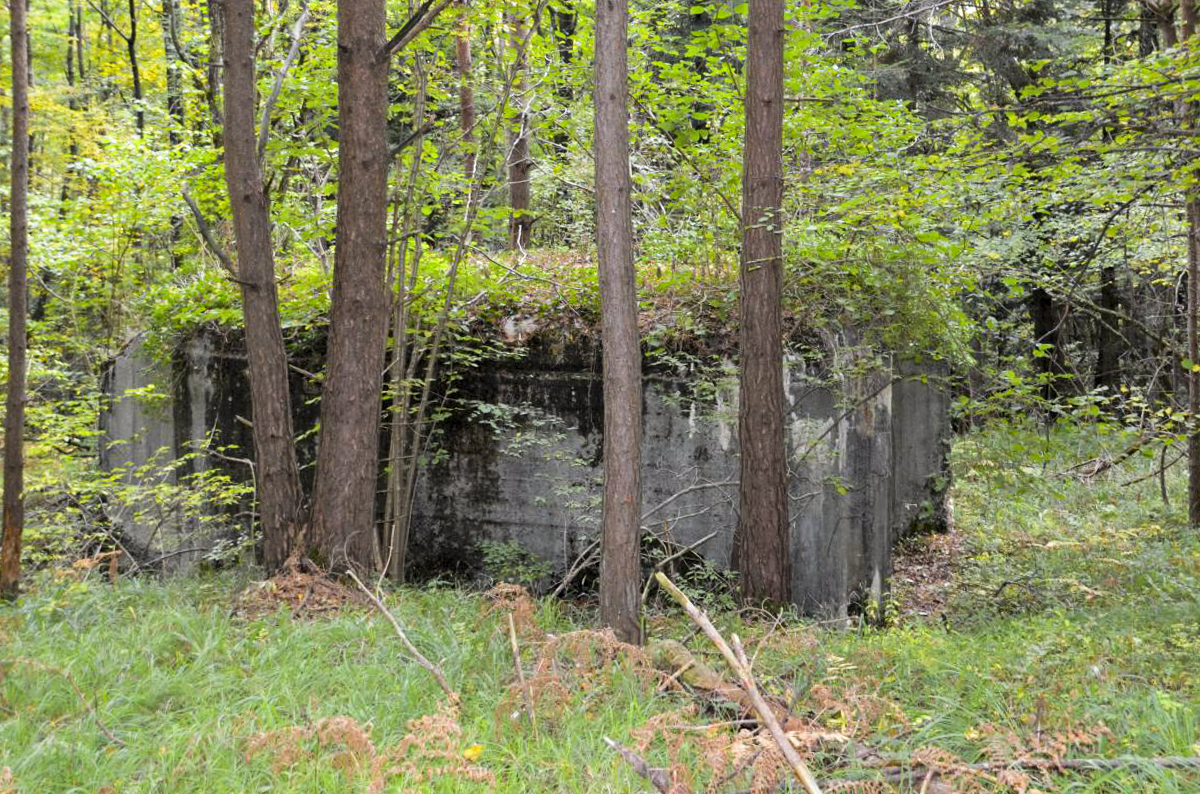 Ligne Maginot - STEINER FERME - (Blockhaus pour arme infanterie) - 