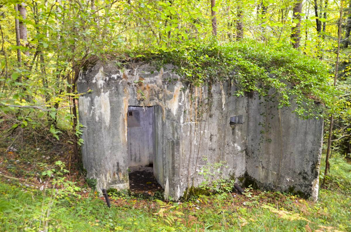 Ligne Maginot - STEINER FERME - (Blockhaus pour arme infanterie) - 