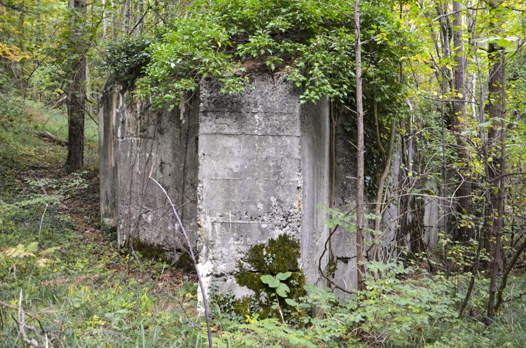 Ligne Maginot - STEINER FERME - (Blockhaus pour arme infanterie) - 