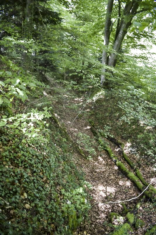 Ligne Maginot - VERRERIES - (Barrage de Route) - Fossé antichar