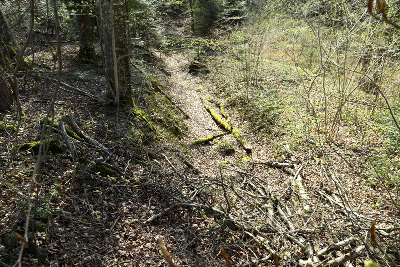 Ligne Maginot - VERRERIES - (Barrage de Route) - Fossé antichar