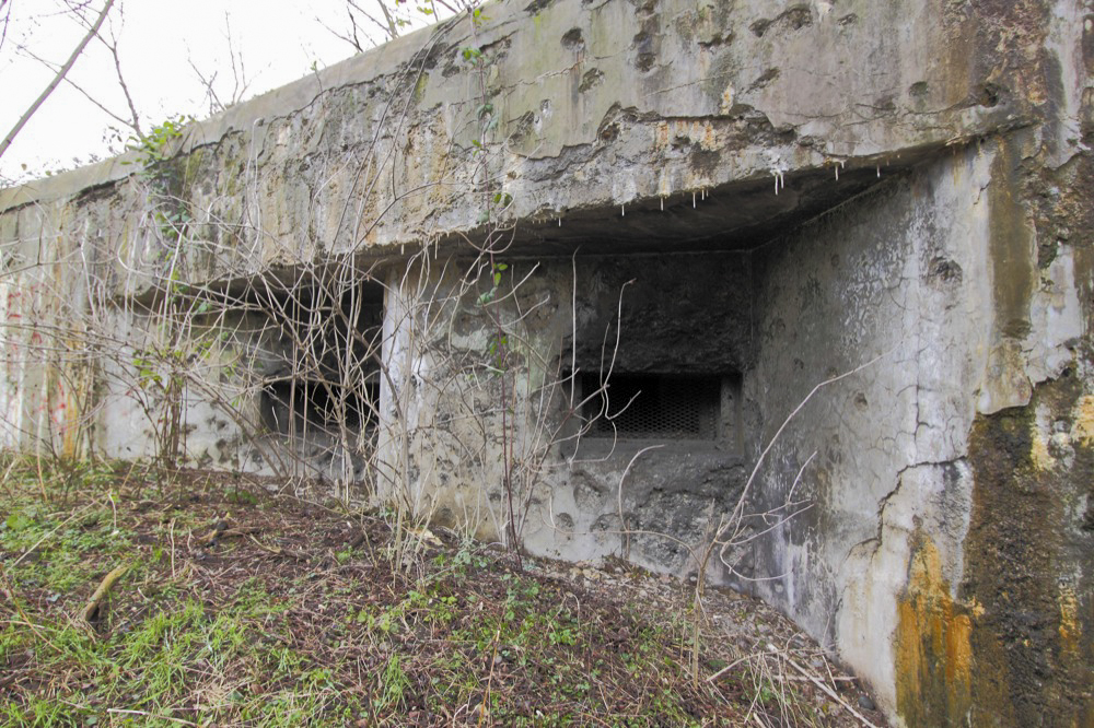 Ligne Maginot - 11/1 - CHALAMPE BERGE NORD - (Casemate d'infanterie - Double) - 