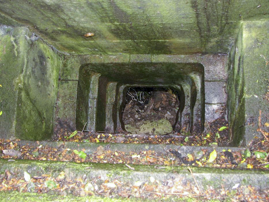 Ligne Maginot - 56/3 - RUMERSHEIM NORD - (Casemate d'infanterie - Double) - La casemate est explosée.
Ce créneau est dirigé vers le ciel.