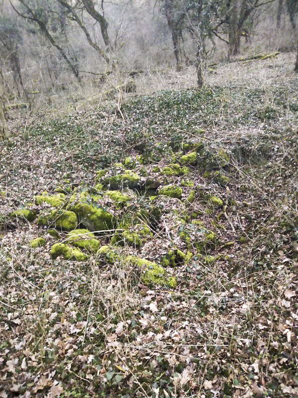 Ligne Maginot - BLODELSHEIM OUEST 2 - (Blockhaus de type indéterminé) - Ruines