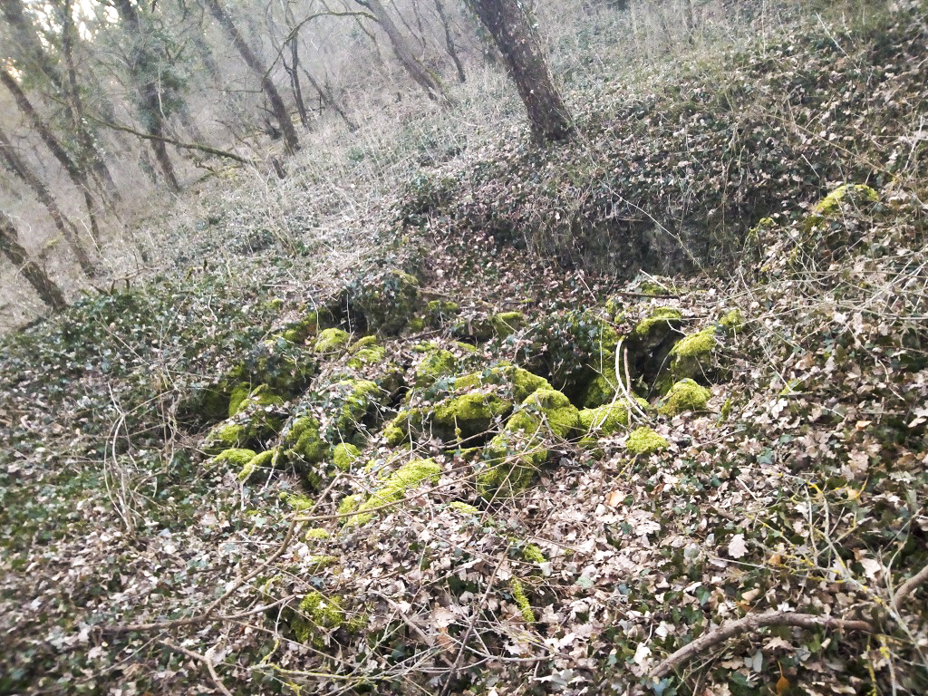 Ligne Maginot - BLODELSHEIM OUEST 2 - (Blockhaus de type indéterminé) - Ruines