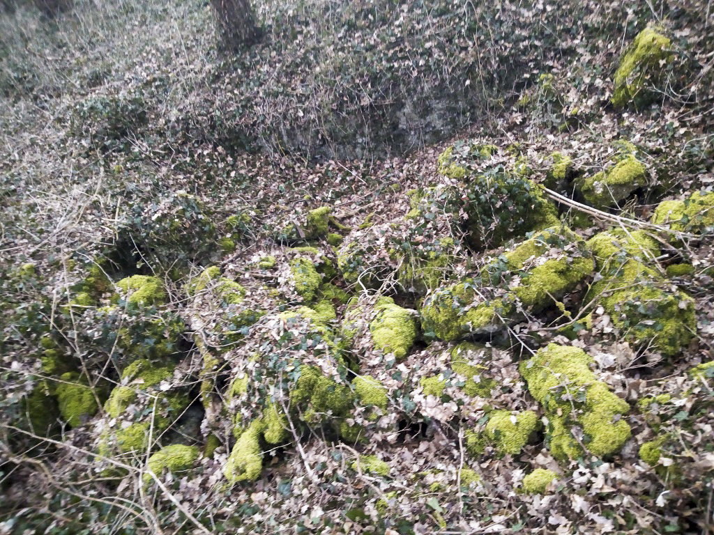 Ligne Maginot - BLODELSHEIM OUEST 2 - (Blockhaus de type indéterminé) - Ruines