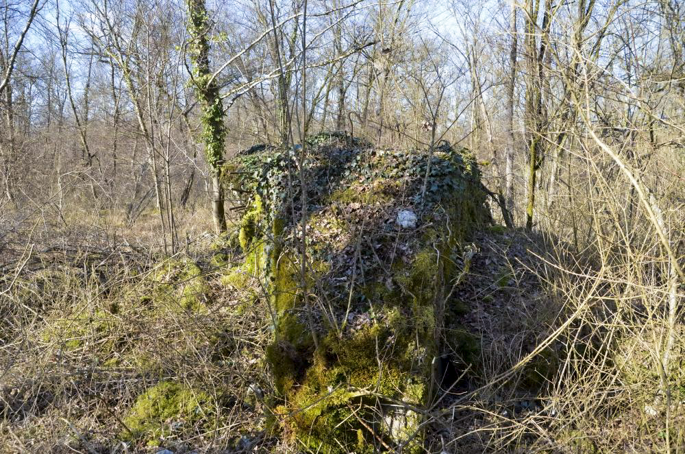 Ligne Maginot - CARREFOUR 224 NORD - (Blockhaus pour arme infanterie) - Vue coté sud