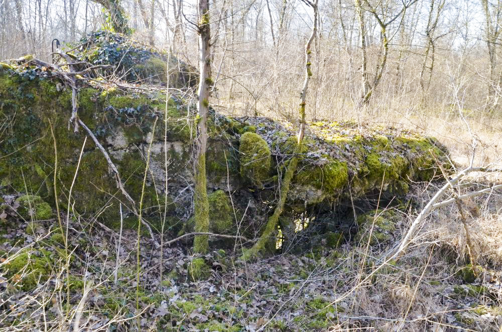 Ligne Maginot - CARREFOUR 224 NORD - (Blockhaus pour arme infanterie) - Façade nord-est, avec les restes du toit.