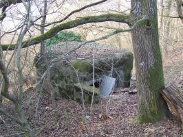 Ligne Maginot - WINGEN SUD 2 - (Blockhaus pour canon) - Le blockhaus vu de l'arrière