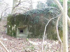 Ligne Maginot - WINGEN SUD 2 - (Blockhaus pour canon) - Un créneau pour FM