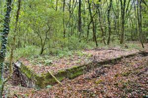 Ligne Maginot - KEMBS - (Dépôt de Munitions) - Vue du dessus depuis le coté nord