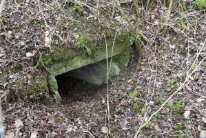 Ligne Maginot - BOIS DE DESSENHEIM SUD 8 - (Abri) - Entrée sud