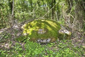 Ligne Maginot - OBERWALD EST SUD - (Blockhaus pour arme infanterie) - Coupole avec les cartouches '5 Cie et 7 Cie du 15-2' ainsi que le Diable rouge