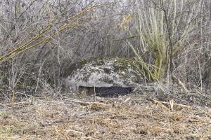 Ligne Maginot - OBERWALD SUD EST 2 - (Blockhaus pour arme infanterie) - Coupole