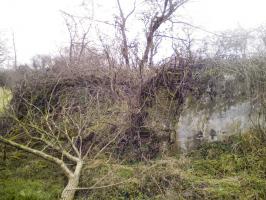 Ligne Maginot - THIERBACH 2 - (Blockhaus de type indéterminé) - Vue d'ensemble.