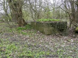 Ligne Maginot - 2 - UNTERJAEGERHOF - BERGE DE L'ILL - (Observatoire d'infanterie) - 