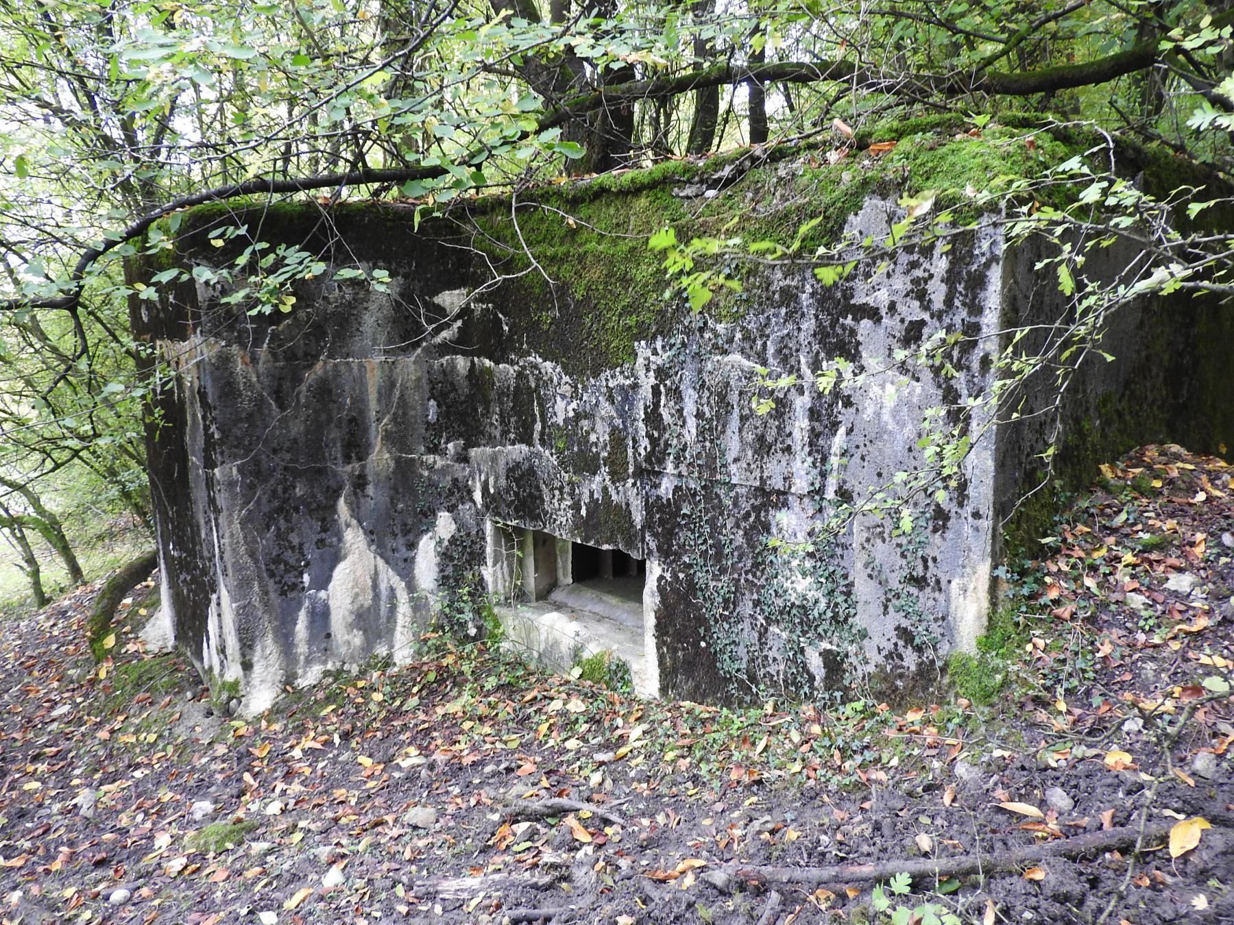 Ligne Maginot - BAUDSTUNDEN 2 - (Blockhaus pour arme infanterie) - 