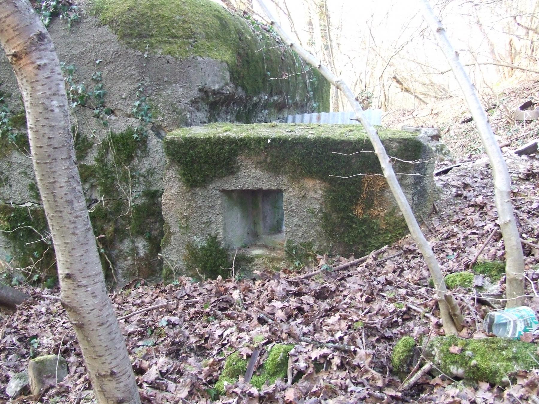 Ligne Maginot - WINGEN SUD 2 - (Blockhaus pour canon) - Le poste FM de défense vers l'arrière