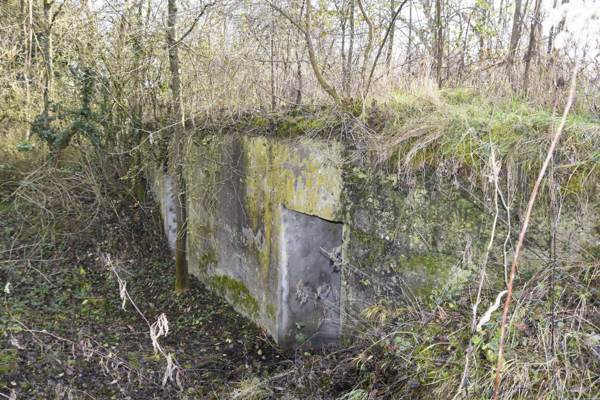 Ligne Maginot - OTTMARSHEIM 4 - (Abri) - Façade nord