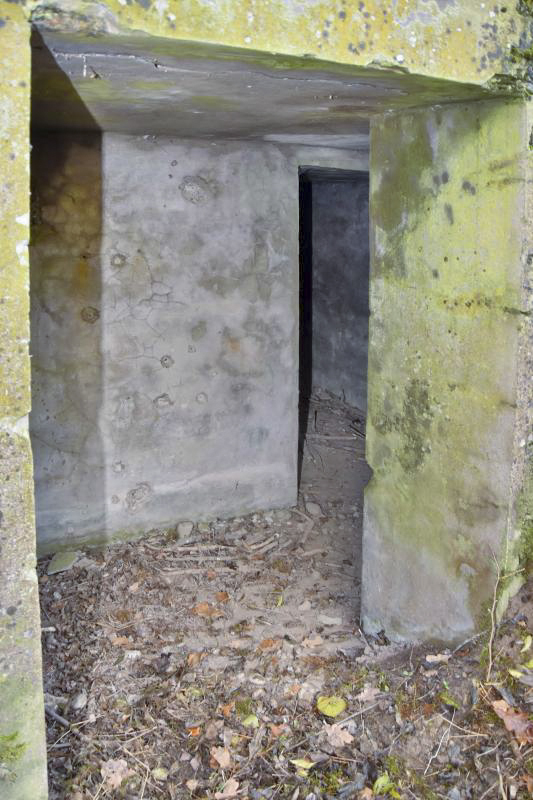 Ligne Maginot - OTTMARSHEIM 4 - (Abri) - Entrée ouest, vue de l'extérieur