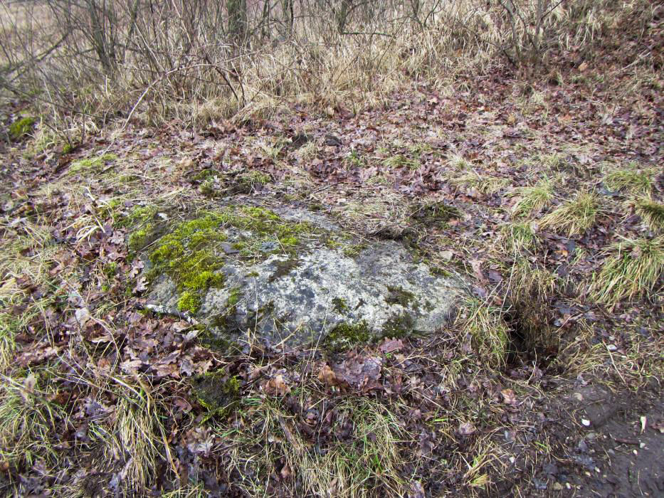 Ligne Maginot - OTTMARSHEIM - BERGE 2 - (Observatoire d'infanterie) - L'abri n'est pas détruit et enterré. Il est défilé. L'accès à l'arrière est remblayé.