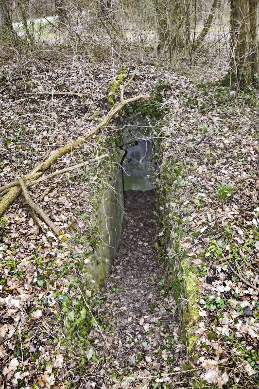 Ligne Maginot - OBERHARDTFELD 2 - (Blockhaus pour arme infanterie) - Entrée sud