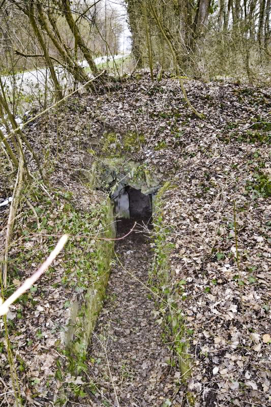 Ligne Maginot - OBERHARDTFELD 2 - (Blockhaus pour arme infanterie) - Entrée nord donnant accès directement à la coupole