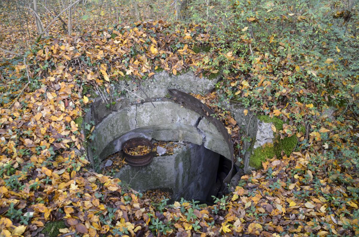 Ligne Maginot - OTTMARSHEIM SUD 3 - (Blockhaus pour arme infanterie) - Coupole