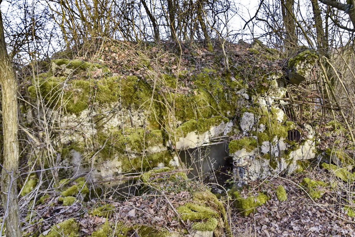 Ligne Maginot - G51 - ALTERGRUND - (Blockhaus pour arme infanterie) - Bloc Garchery
Façade arrière