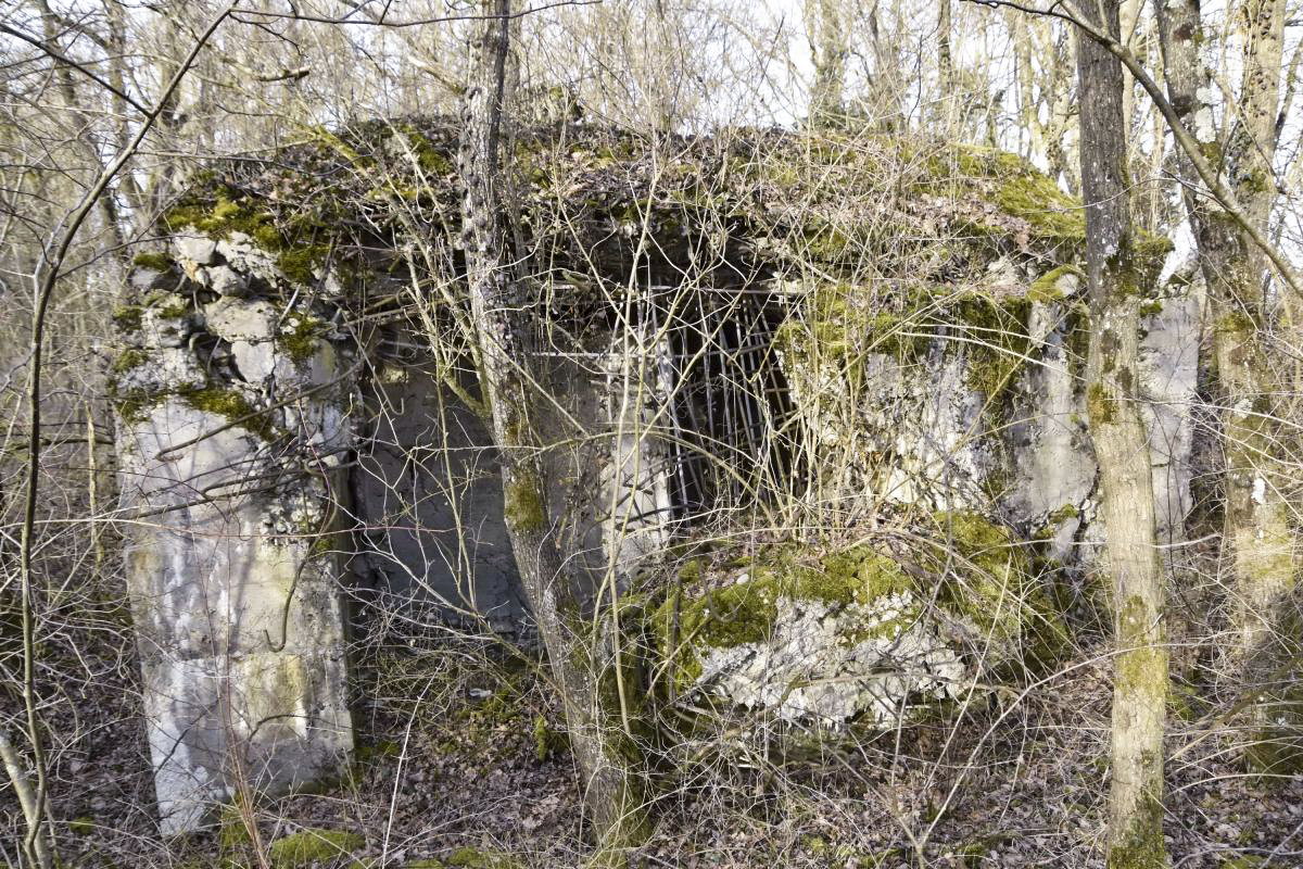 Ligne Maginot - ALTERGRUND 2 - (Abri) - Abri coté sud et l'entrée