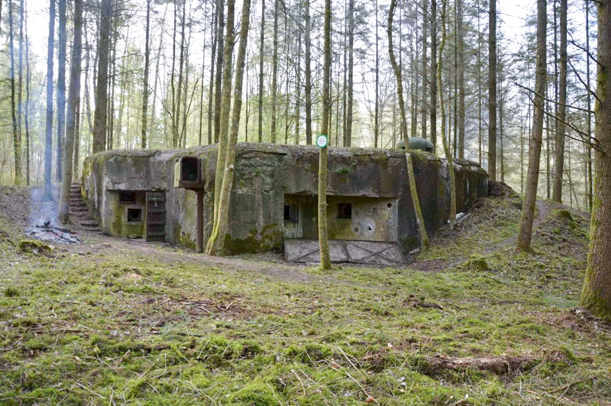 Ligne Maginot - WINECKERTHAL EST - (Casemate d'infanterie) - La casemate en 2018 après débrousaillage