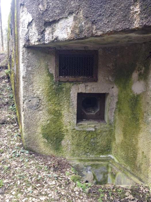 Ligne Maginot - WINECKERTHAL Est (Casemate d'infanterie) - 