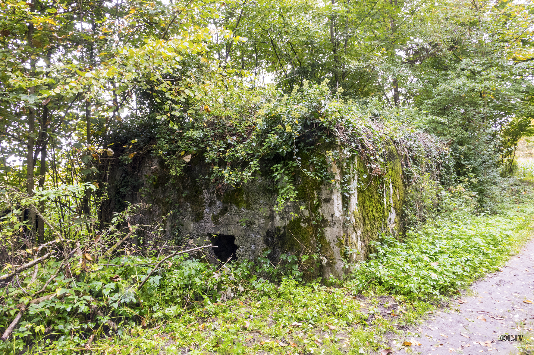 Ligne Maginot - PA DE SIERENTZ OUEST 2 - (Blockhaus pour arme infanterie) - 