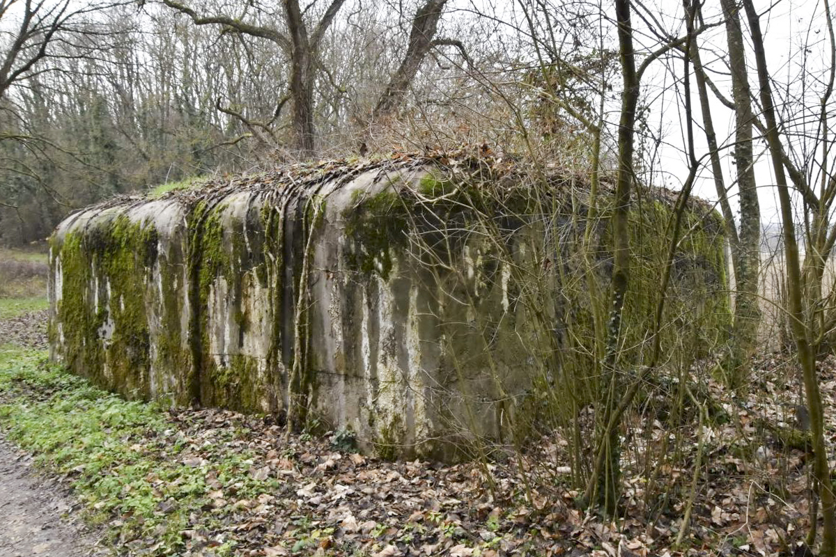 Ligne Maginot - PA DE SIERENTZ OUEST 2 - (Blockhaus pour arme infanterie) - Vue sur les deux cotés arrières