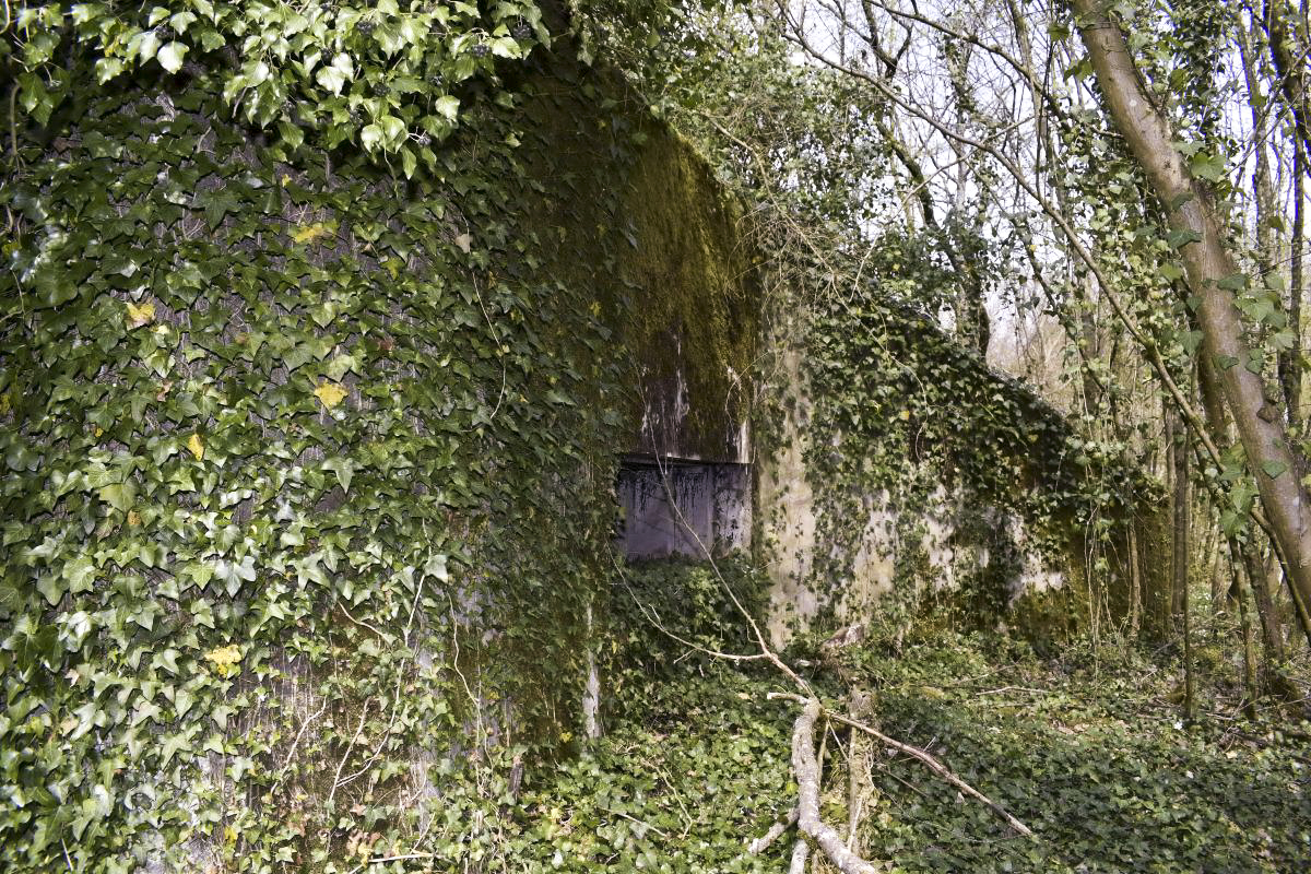 Ligne Maginot - PA DU CARREFOUR 243-1 - (Blockhaus pour canon) - Côté est