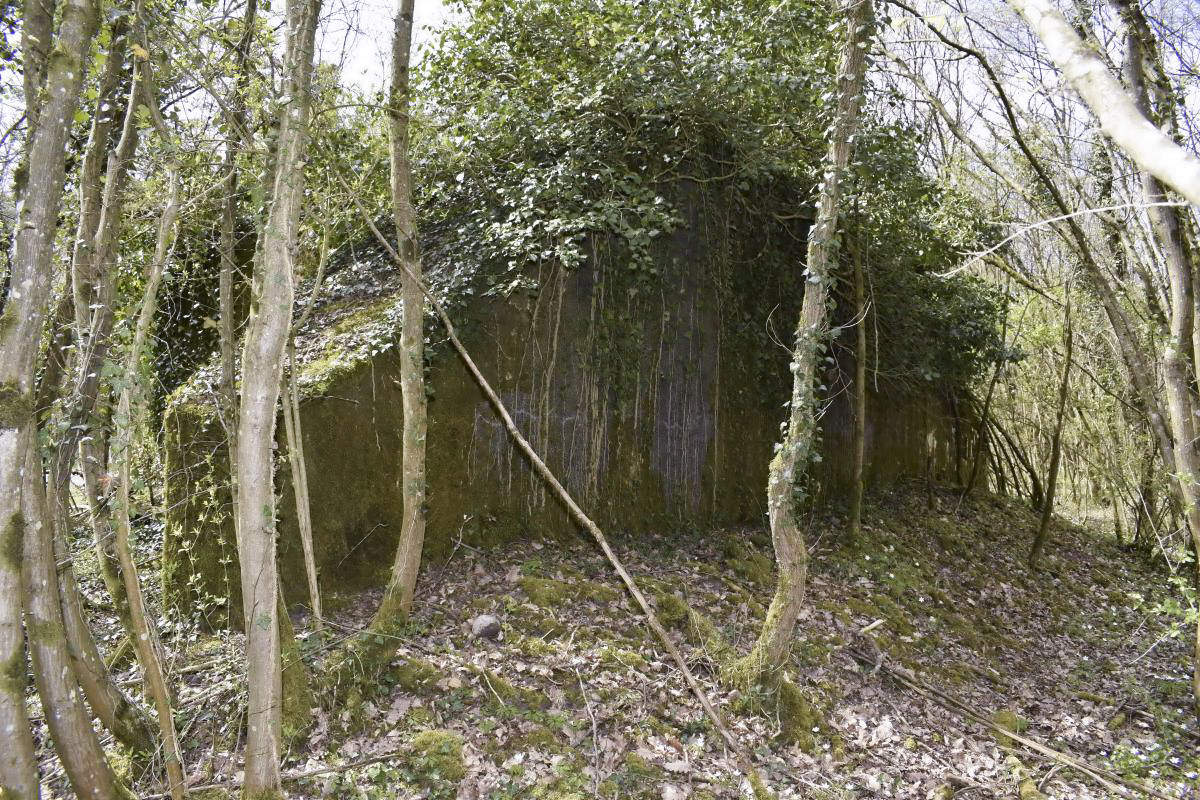 Ligne Maginot - PA DU CARREFOUR 243-1 - (Blockhaus pour canon) - Côté nord