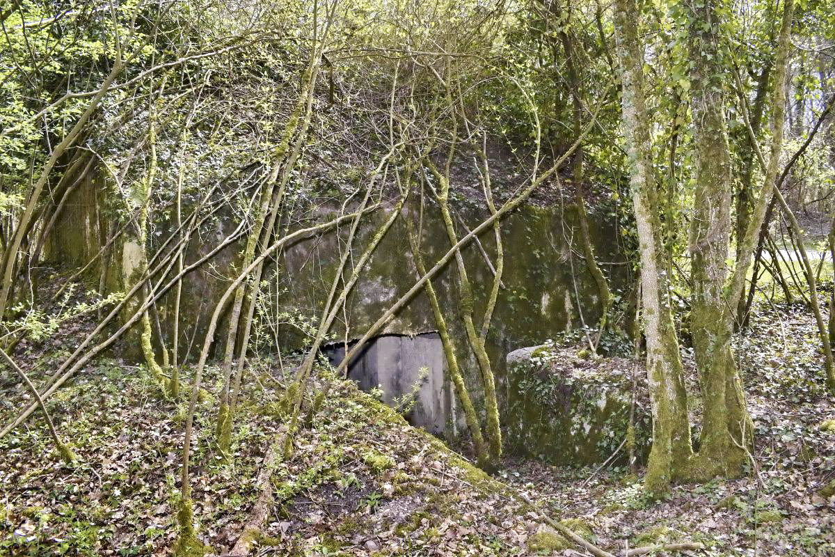 Ligne Maginot - PA DU CARREFOUR 243-1 - (Blockhaus pour canon) - Côté ouest - entrée du matériel