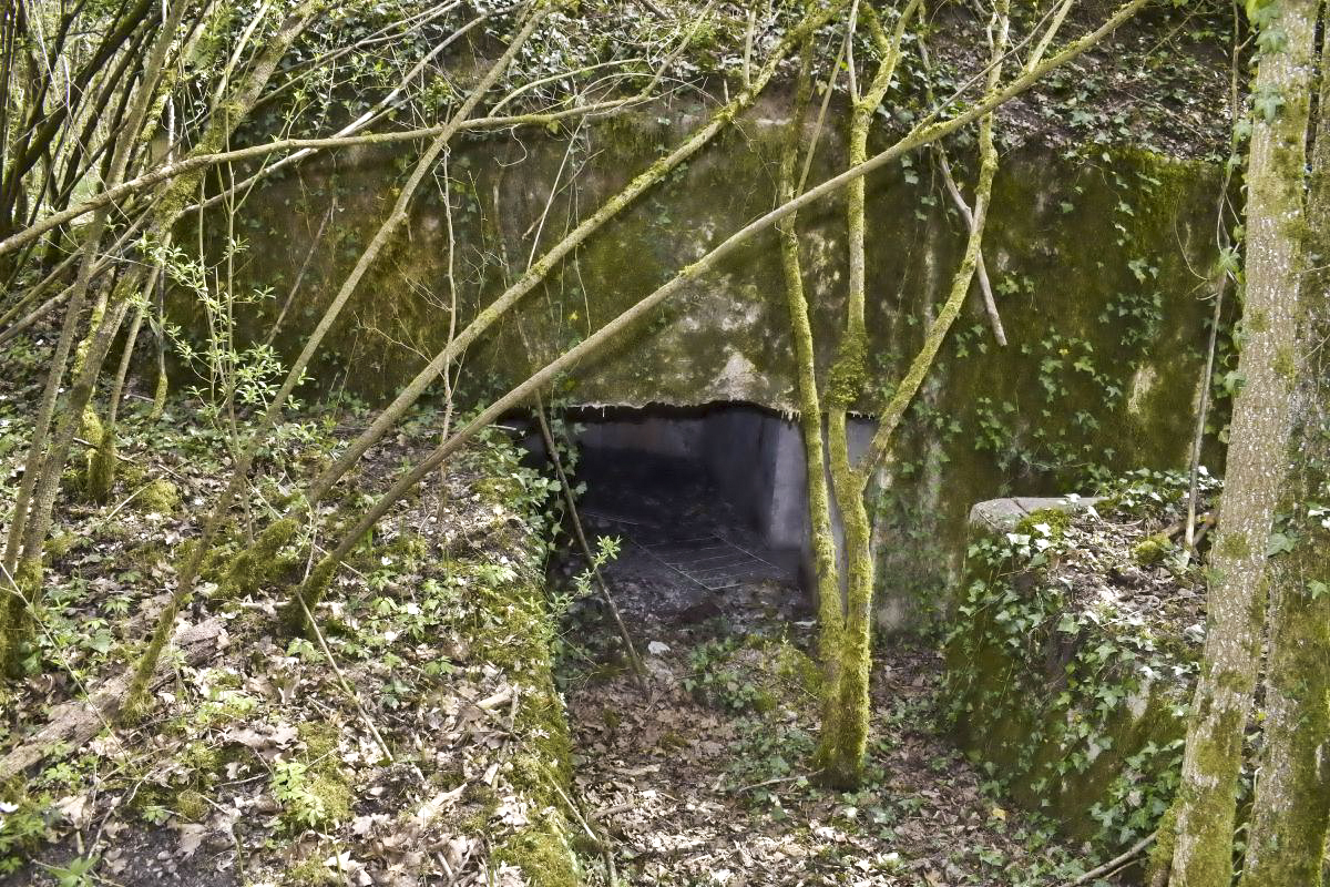 Ligne Maginot - PA DU CARREFOUR 243-1 - (Blockhaus pour canon) - Côté ouest - entrée du matériel