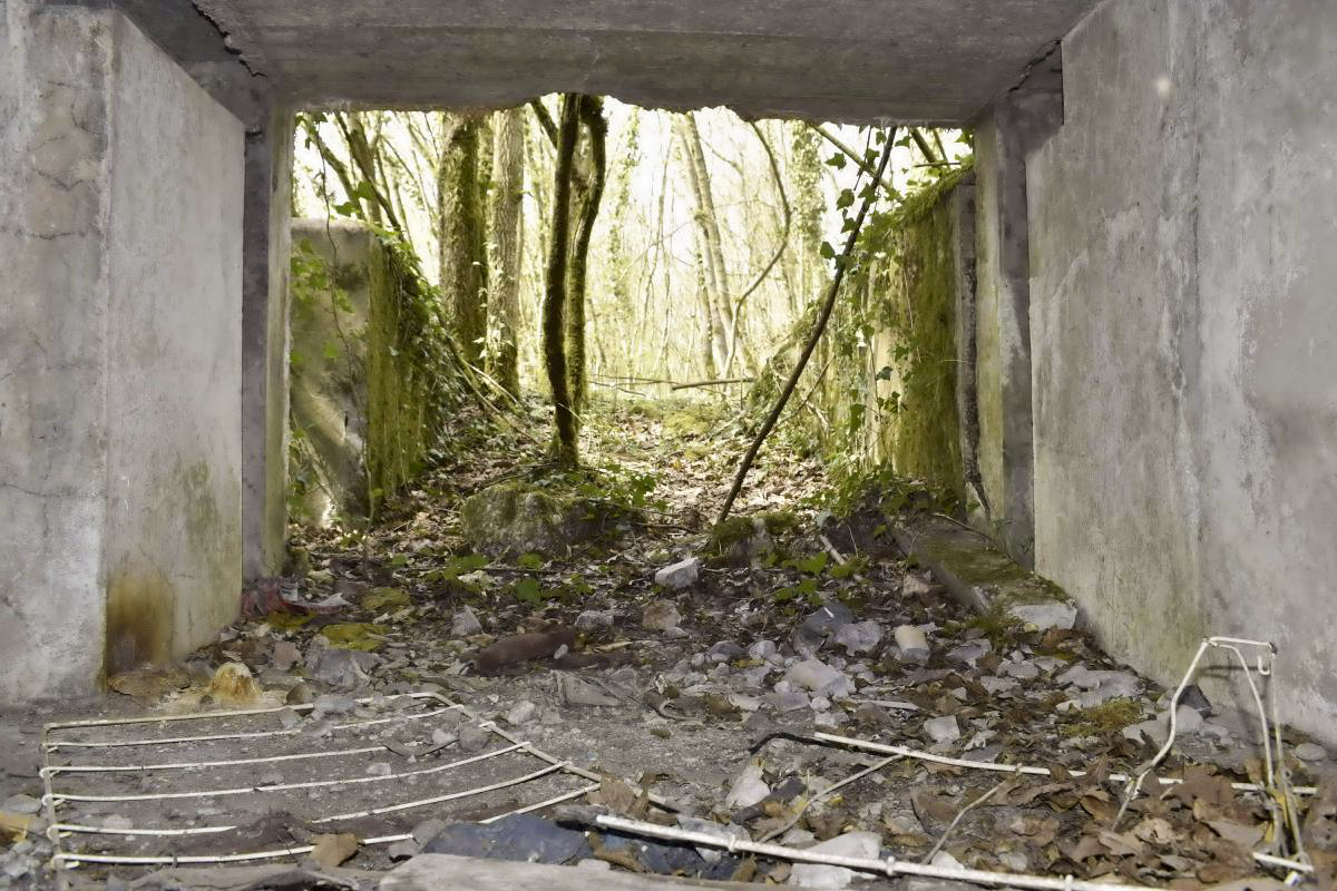 Ligne Maginot - PA DU CARREFOUR 243-1 - (Blockhaus pour canon) - Entrée matériel