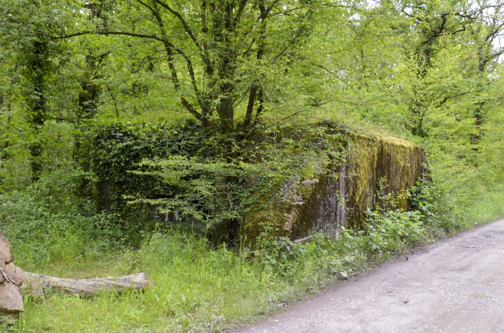 Ligne Maginot - CARREFOUR 237 - (Blockhaus pour canon) - Vue coté chemin forestier et créneau de tir