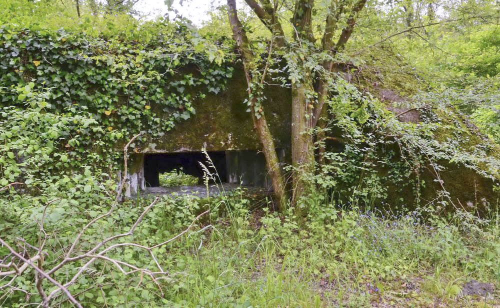 Ligne Maginot - CARREFOUR 237 - (Blockhaus pour canon) - Vue sur le créneau de tir, et en arrière plan l'entrée matériel