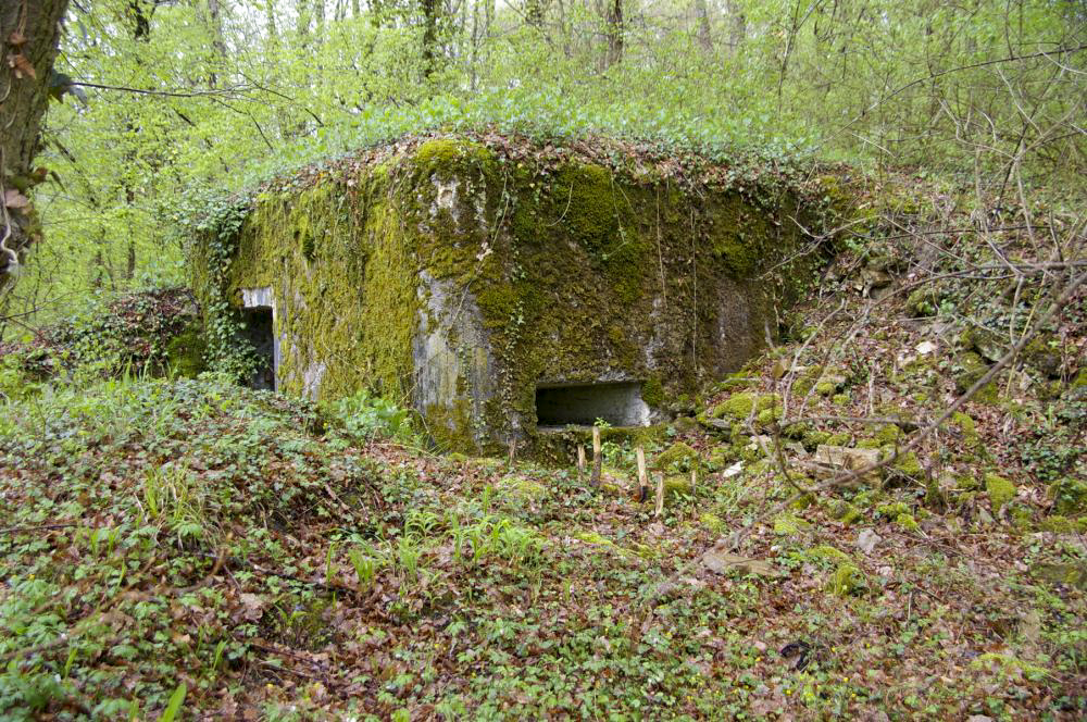 Ligne Maginot - PA DU CARREFOUR 248-4 - (Blockhaus pour arme infanterie) - Embrasure coté sud