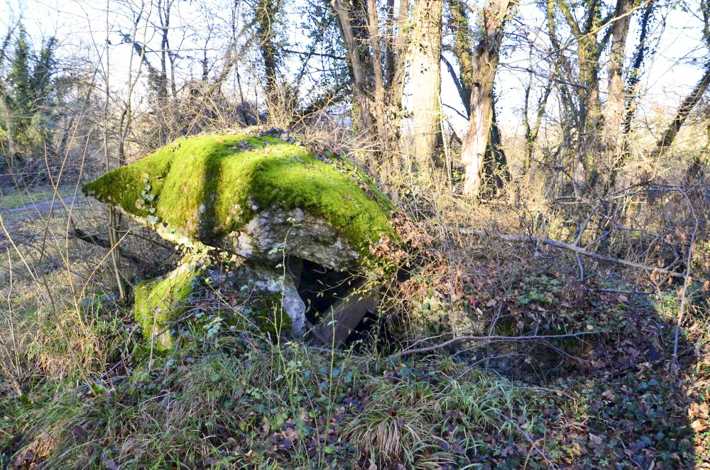 Ligne Maginot - PA PETIT-LANDAU 1 - (Blockhaus pour arme infanterie) - Coupole détruite, avec le créneau de tir visible