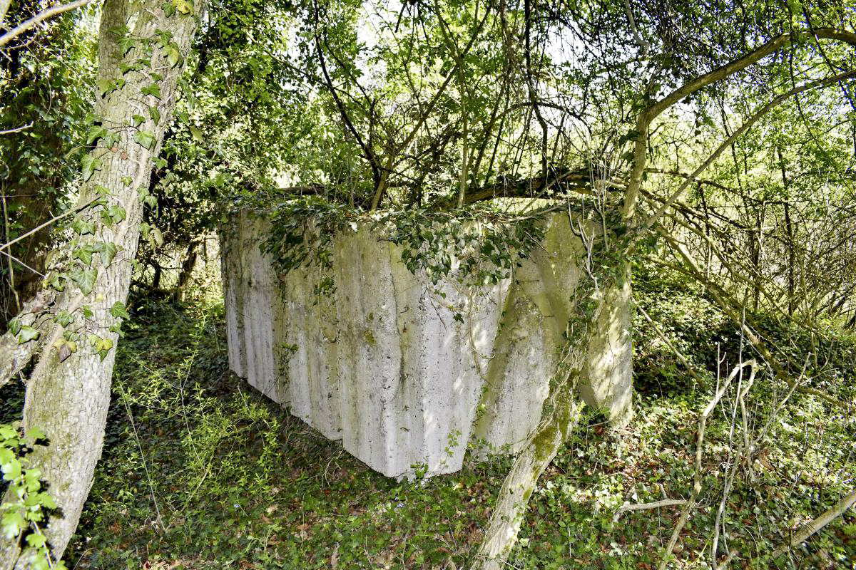 Ligne Maginot - PA PETIT-LANDAU 10 - (Abri) - Mur restant