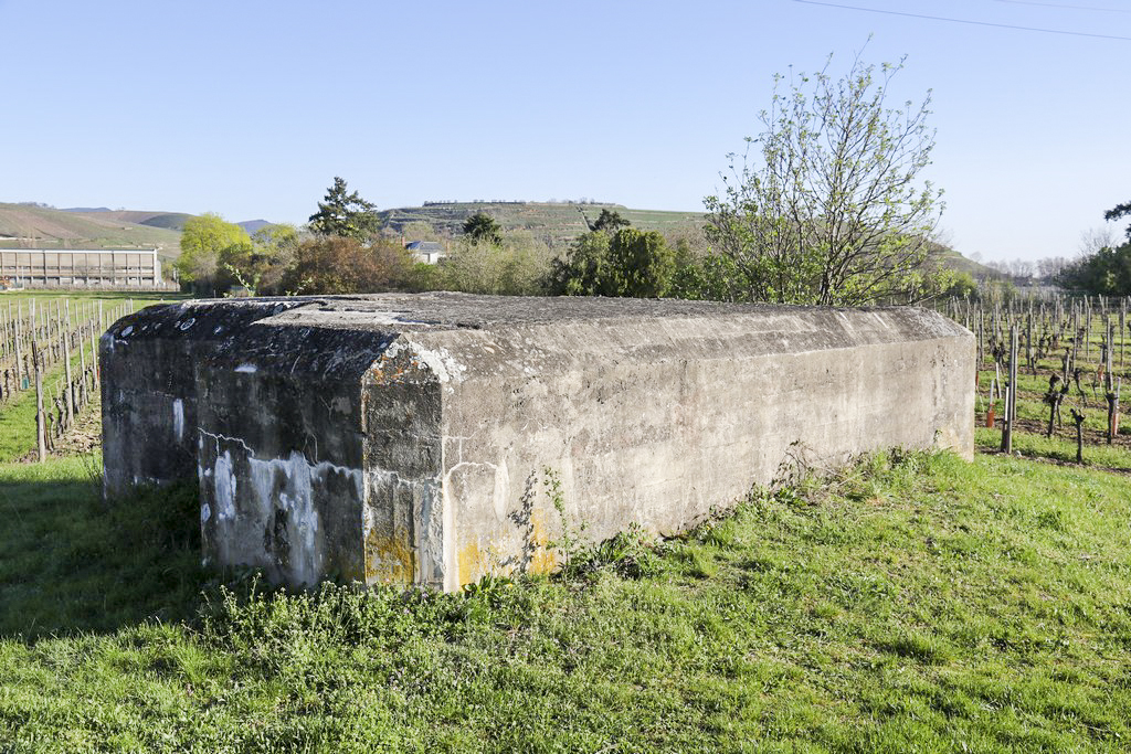 Ligne Maginot - LANGGASS NORD - (Blockhaus pour arme infanterie) - 