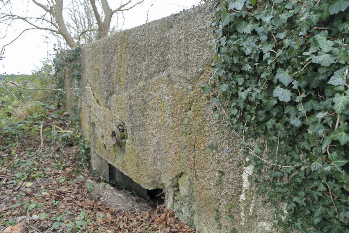 Ligne Maginot - B138 - ARTZENHEIM SUD 1 - (Blockhaus pour canon) - 