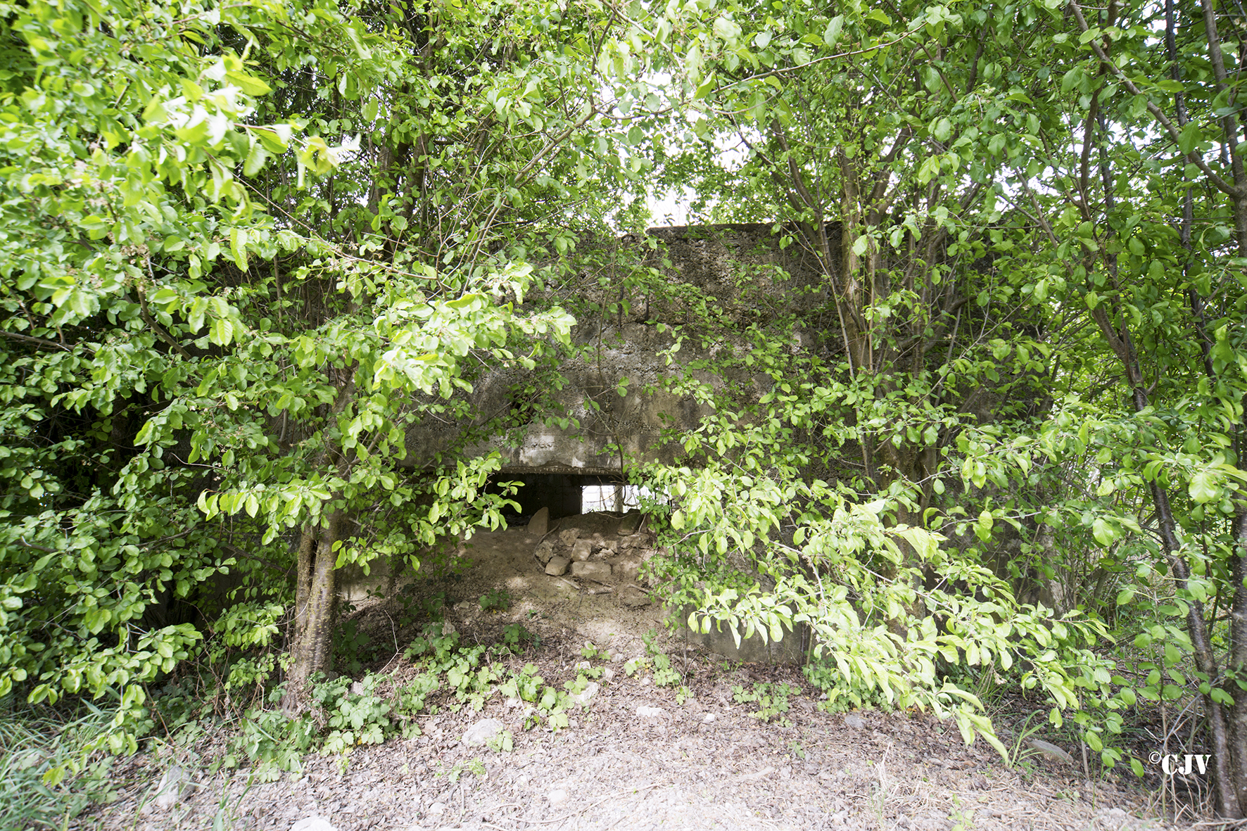 Ligne Maginot - RICHTOLSHEIM 3 - (Blockhaus pour canon) - 